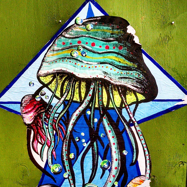 1505-SA-Cancun-Alex_Lechuga-Jellyfish/