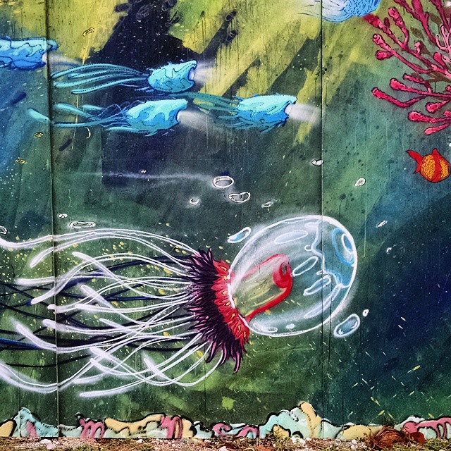 1505-SA-Cancun-Deken_Kodeak-Jellyfish/