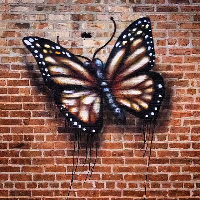 1505-SA-Chicago-Mrprvrt-Butterfly/