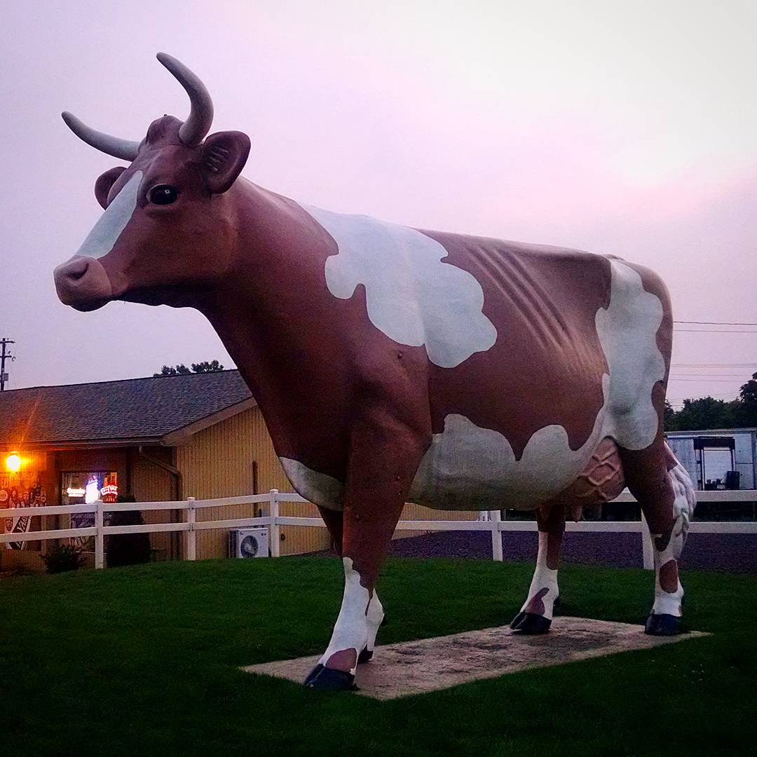 1507-PL-Wilkes_Barre-Cow/