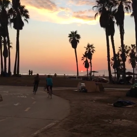 A Weekend in Venice Beach