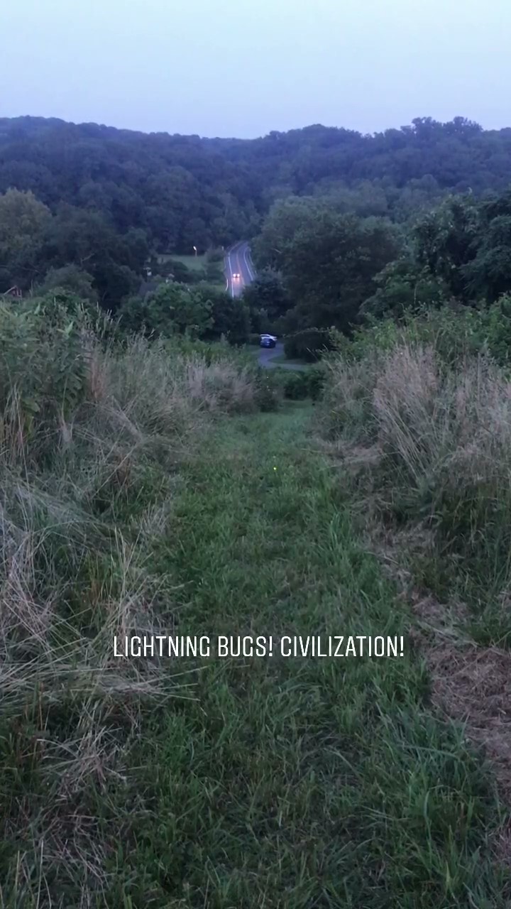 19-Lightning_Bugs-Civilization