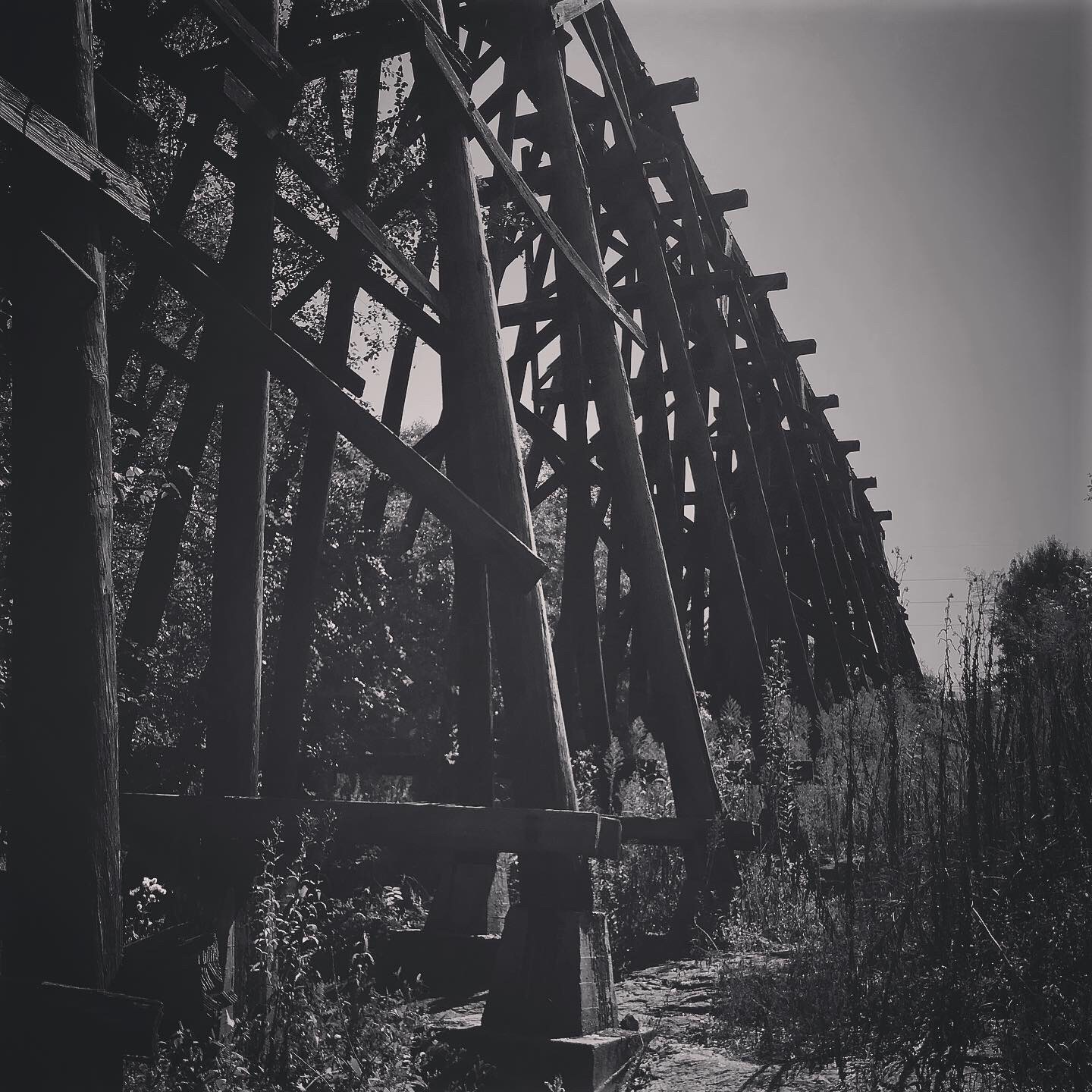 Murmur Trestle