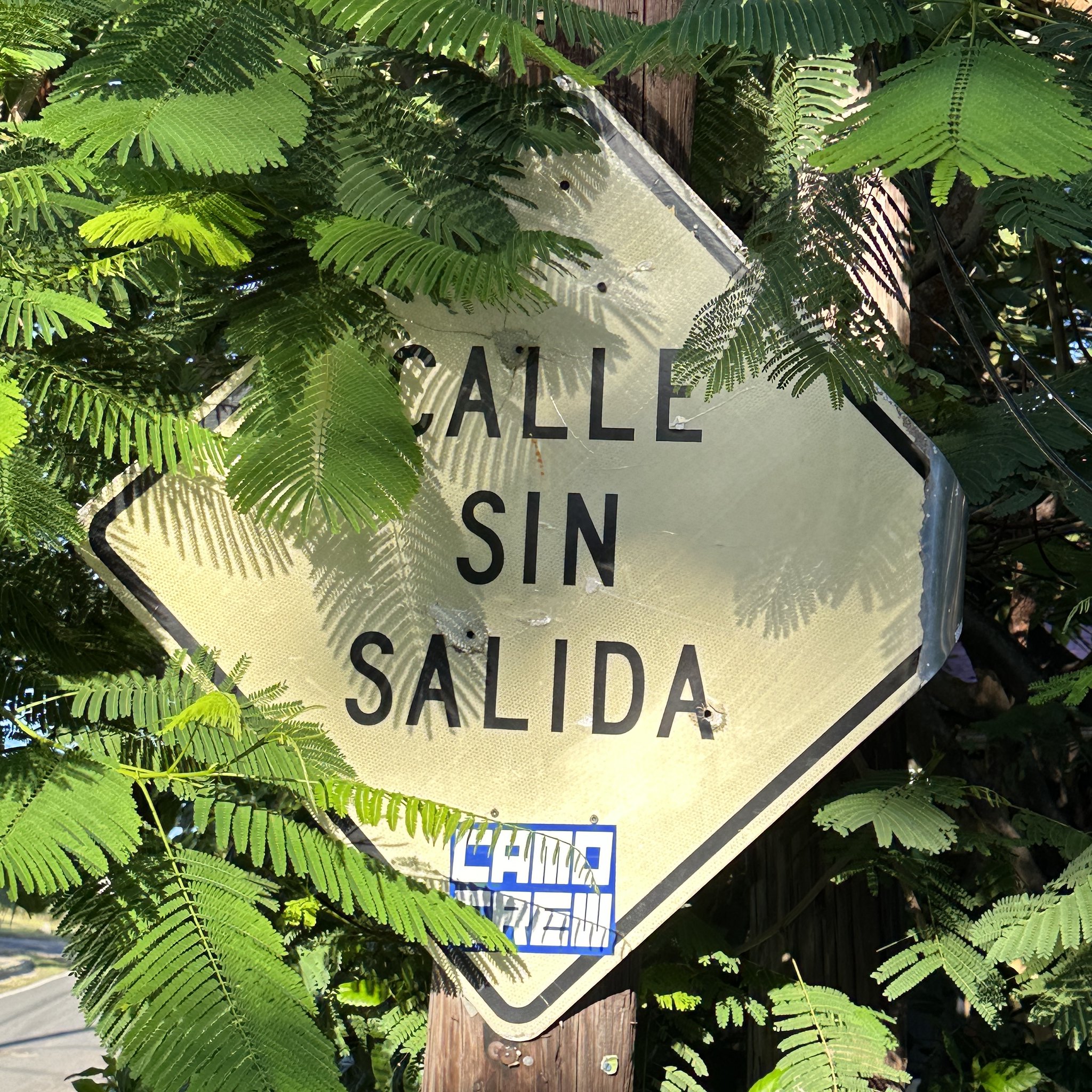 Culebra-Calle_Sin_Salida